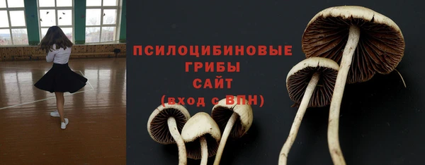 СК Вязники