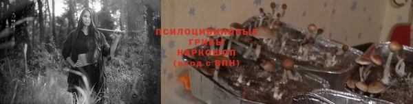 СК Вязники