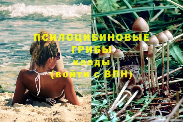 мет Горно-Алтайск